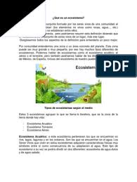 En este caso tenemos que subrayar que dicha energía siempre sigue la misma dirección. Que Es Un Ecosistema Ecosistema Environmental Science