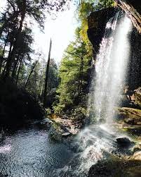 Let S Find A Place Where We Can Roam Together Tnstateparks Bluetoothhollow Colditz Cove State Natura Tennessee State Parks State Parks State Forest