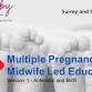 Multiple Pregnancy-  Twins & More!  Session 1 event image