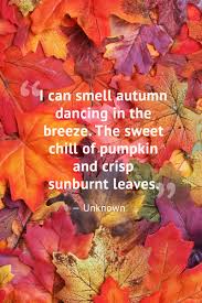 Facebook cover photo beautiful quote facebook cover photos. 10 Beautiful Fall Quotes Best Sayings About Autumn