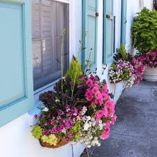Happy sunday to you all! Window Boxes In Charleston Francis Marion Hotel Charleston Sc