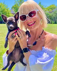 It's a dog day afternoon….