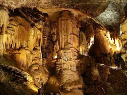 Postojna Cave Aktuelle 2020 Lohnt Es Sich Mit Fotos
