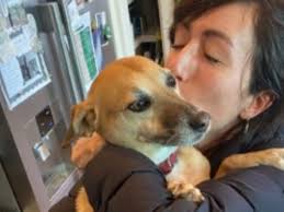 Fundraiser by Maya Marin : Pepe Was Attacked By A Bear... Please Help!