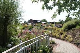 Landcafe Oase Garten Aussenbereich Oase