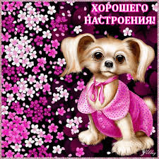 Похожее изображение