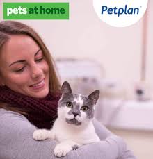 Pets UK