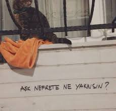 Ask Hayirdir Sen Nefrete Ne Yakinsin Siirsokakta Resimli Alintilar Siir Alintilar