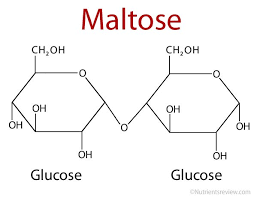 Maltose Is A Reducing Sugar Formula Function Chemistry Lessons Biochemistry Organic Chemistry