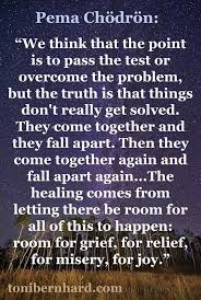 Give Every Emotion The Room It Needs In Which To Breathe Ets Pema Chodron Quotes Buddhist Quotes Quotes