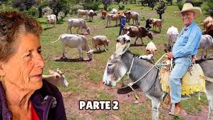 Popurrí 3 Desde Guamúchil, Sinaloa: El Sauce y la Palma/La Cuichi/El  Barrilito (En Vivo)