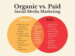 What is the Difference Between Organic and Paid Marketing?
