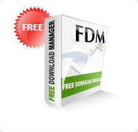Free Download Manager (FDM)