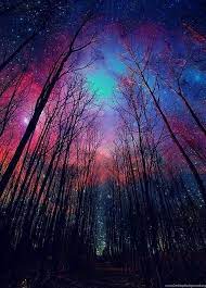 Download awesome samsung hd wallpapers and background images for all samsung mobile phones and tablets. Cute Galaxy Iphone Wallpaper Sky Stars Sweet Trees Image Desktop Background