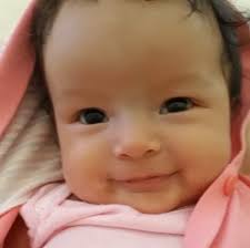 Alfredo Hernandez Músico