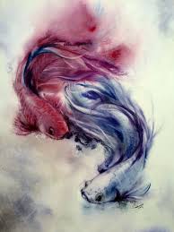 Siamese Fighting Fish Yin Yang Betta Fish Tattoo Fish Drawings Watercolor Fish