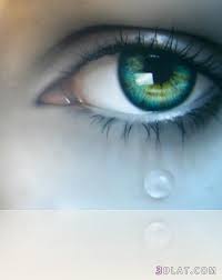 Pin On Eye