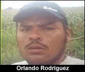 Print this news article