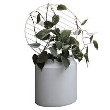 An infinity hoop or circle trellis is an elegant solution to attractively display your indoor climbing or vining potted houseplants and tame those long, trailing vines into a manageable shape. High Achievers Trellises And Pots For Indoor Vines And Climbers Gardenista