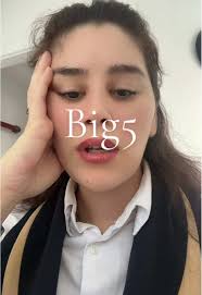 Big5 Ayça Mina