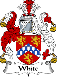 How to find your real family crest. Image Examples Of Your Family Crest Find Your Family Crest