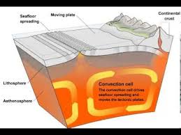 A Visual Representation Of What Is Happening To Cause Plate Movement But The Convection Of The Mant Convection Currents Tectonic Plate Movement Plate Tectonics