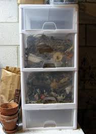 Also transparent worms clear available at png transparent variant. Jeph S Spot Let S Make Compost Worm Farm Diy Worm Composting Worm Farm