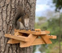 Superior Squirrel Picnic Table And Feeder Pail In 2020 Squirrel Picnic Table Picnic Table Kit