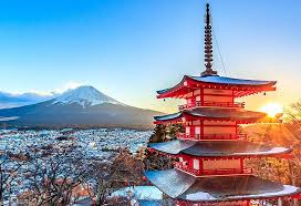 Ten days' worth of rice in my bag; Kreuzfahrten Nach Tokyo Japan Royal Caribbean Cruises