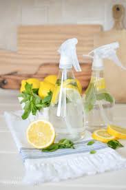 natural homemade all purpose cleaner