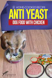 Anti Yeast Dog Food Recipe With Chicken Dog Food Recipes Healthy Dog Food Recipes Diy Dog Food