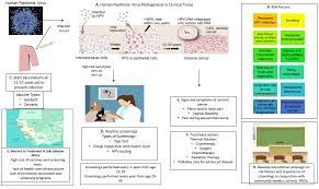 Regular screening with methods like pap tests can detect cancerous or even precancerous changes much sooner. Vaccines Free Full Text Eliminating Cervical Cancer In Mali And Senegal Two Sub Saharan Countries Insights And Optimizing Solutions Html