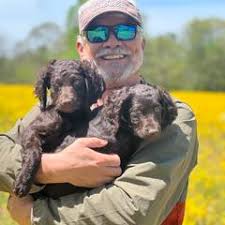 25 cute Boykin Spaniel puppies for sale in Indiana