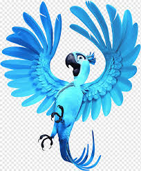 Jewel Nigel Blu Rio Rio Parakeet Vertebrate Cartoon Png Pngwing Here you can explore hq cartoon characters transparent illustrations, icons and clipart with filter setting like size, type. jewel nigel blu rio rio parakeet