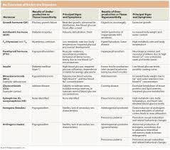 image result for endocrine system hormones chart