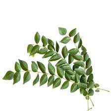 Tak sangka benda halau lalat yang selalu opah aku buat ni boleh halau corona sekali. 6 Petua Orang Tua Dulu Dulu Untuk Halau Lalat Dari Rumah