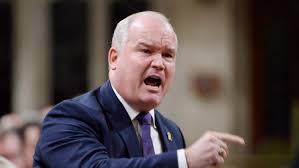 O'toole instead of focusing on matters of pertinence to our nation. Erin O Toole Declared Winner In Conservative Party Leadership Race Delayed By Thousands Of Ballots Being Ripped In Half By Vote Counting Machine The Political Re Education Camp Day One Patch