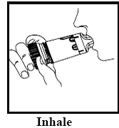 Pulmicort Flexhaler Budesonide Inhalation Powder Uses Dosage Side Effects Interactions Warning