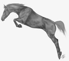 Horse vector art logo horse jumping jumping horse vector jumping horse logo horse jump sketch equestrian sports line art horse jumping logo vector jumping horse outline of a horse abstract horse. Horse Greyscale By Emmy On Deviantart Black Horse Jump Png Free Transparent Png Download Pngkey