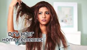 Let dove be your home treatment for dry hair that works. 6 Effective Home Remedies To Treat Dry Hair Lifeberrys Com