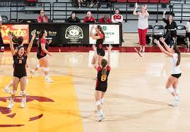 Erika Ivkov - 2019 - Volleyball - Pittsburg State University Athletics