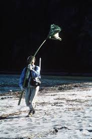 Image result for Bolusiella talbotii