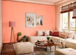 Carrot Punch 8023 House Wall Painting