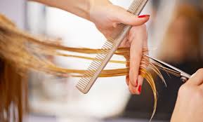 You can however look at each salon near your location before making a judgement. Tortoise The Hair Salon Troy Mi Groupon