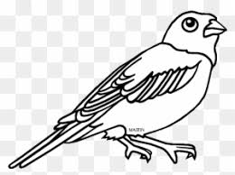 Maybe you would like to learn more about one of these? Colorado State Bird Coloring Page 6 By Kari Coloring Book Free Transparent Png Clipart Images Download