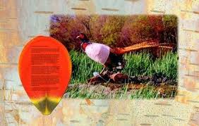 Mii de imagini noi adăugate zilnic utilizare complet gratuită videoclipuri și imagini la calitate înaltă de la pexels InstalaÅ£ie Art1ficial PaginÄƒ 3