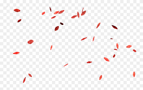 Pink Rose Flower Petals Png Free Download Falling Rose Petals Png Clipart 5712542 Pinclipart Polish your personal project or design with these rose petal transparent png images, make it even more personalized and more attractive.