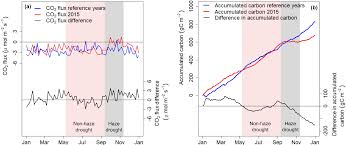 See what lim co (cklimsoho) has discovered on pinterest, the world's biggest collection of ideas. Bg El Nino Southern Oscillation Enso Event Reduces Co2 Uptake Of An Indonesian Oil Palm Plantation