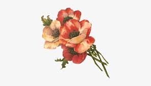 Collection by lillie lewis • last updated 14 hours ago. Floral 2 Tuck Db Org Vintage Flower On Transparent Background Transparent Png 392x399 Free Download On Nicepng
