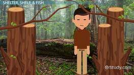 Hatchet Chapter 14 Summary Video Lesson Transcript Study Com